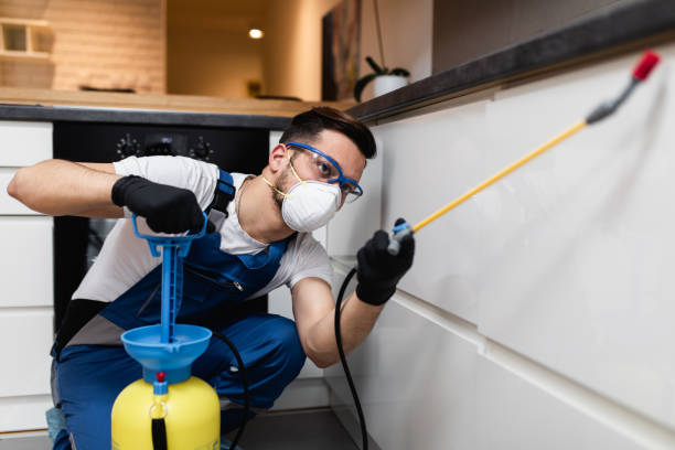Best Exterminator Services  in Whitehall, OH