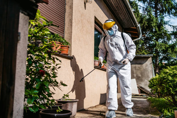Best Pest Prevention Services  in Whitehall, OH