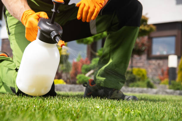 Pest Prevention Services in Whitehall, OH