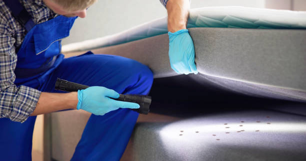 Professional Pest Control in Whitehall, OH