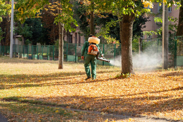 Best Residential Pest Control  in Whitehall, OH