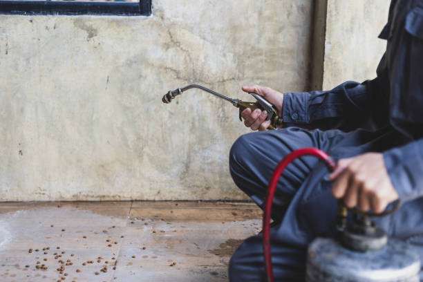 Pest Control Cost in Whitehall, OH